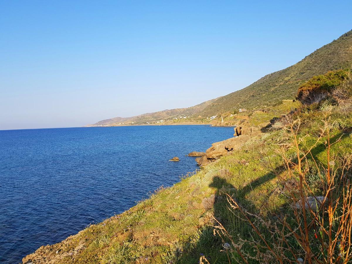 Seaclusion Vacation Villa Pomos Eksteriør billede